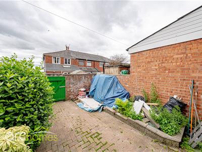 Picture 20